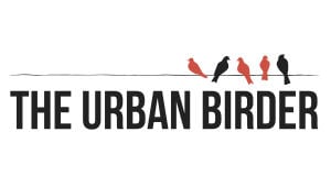 The Urban Birder