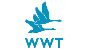 WWT