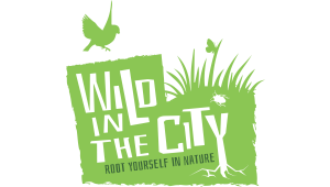 Wild in the City